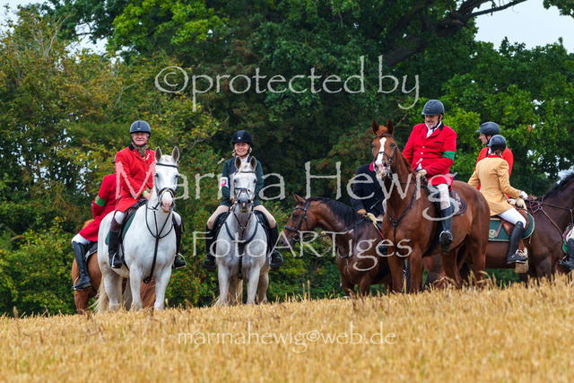 Jagd Kletkamp 26-02803_MarinaHewig | Fotografie, FotoArt, PferdesportArt, Pferdesportfotografie, Landschaftsfotografie, Reisefotografie, Reise, Pferde - Realisiert mit Pictrs.com
