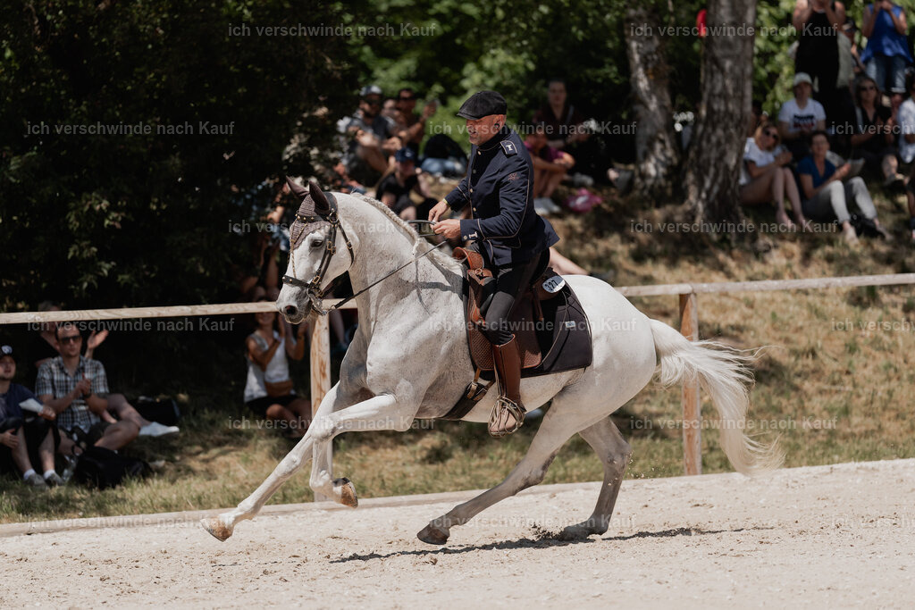 WE_SP_Stoib_327_PI2025_1936 | Pferd International München 2025
