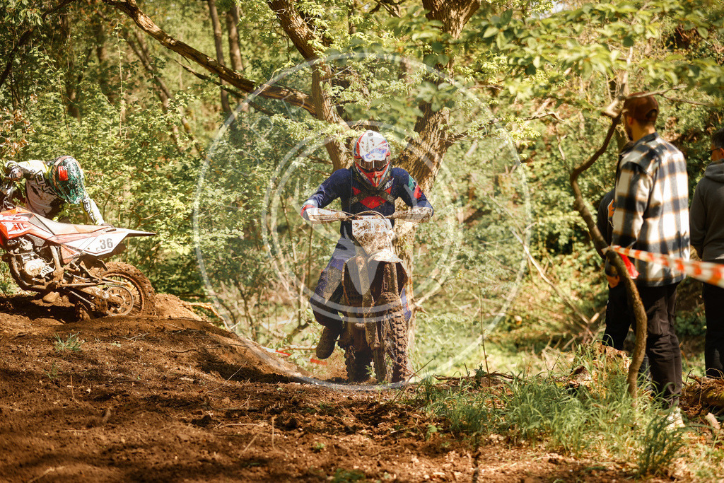 RottlebenIGE25_Lauf2-308 | koppe-media