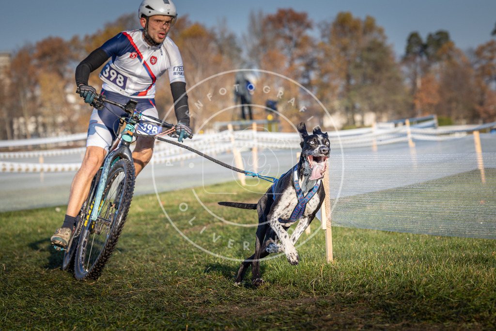 CaniXpix_0L8A3923 | Hundefotografie, Tierfotograf, Pfotenfotografie, Fotoshooting Hund, Hunde Portrait, Hundesport, Hundeportraits, Heideshooting, Hunde, Sportfotograf, Hundefotograf, Turnierhundsport, THS,  - Realisiert mit Pictrs.com
