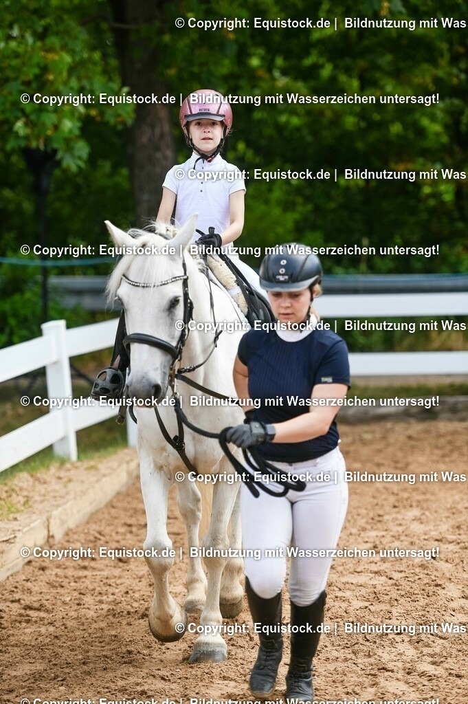 20230716_11_Führzügel-WB_0160 | equistock
