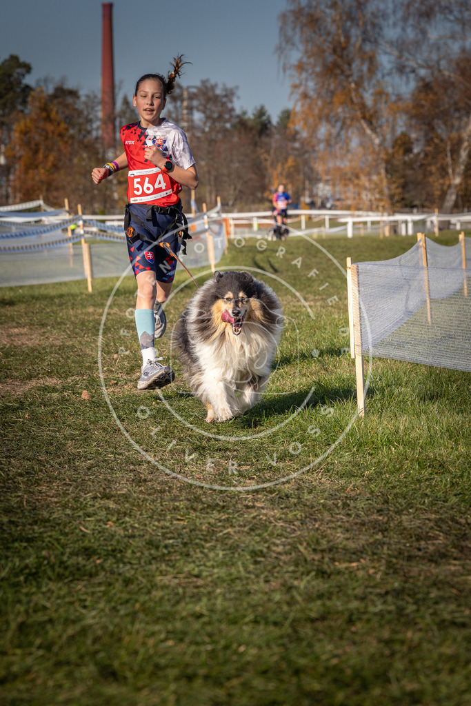 CaniXpix_0L8A7908 | Hundefotografie, Tierfotograf, Pfotenfotografie, Fotoshooting Hund, Hunde Portrait, Hundesport, Hundeportraits, Heideshooting, Hunde, Sportfotograf, Hundefotograf, Turnierhundsport, THS,  - Realisiert mit Pictrs.com