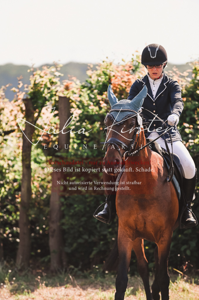 DSC_7334 | Pferde- und Turnierfotografie in Westsachsen. Pferdeportraits, Auftragszeichnungen und intuitive Kunst.