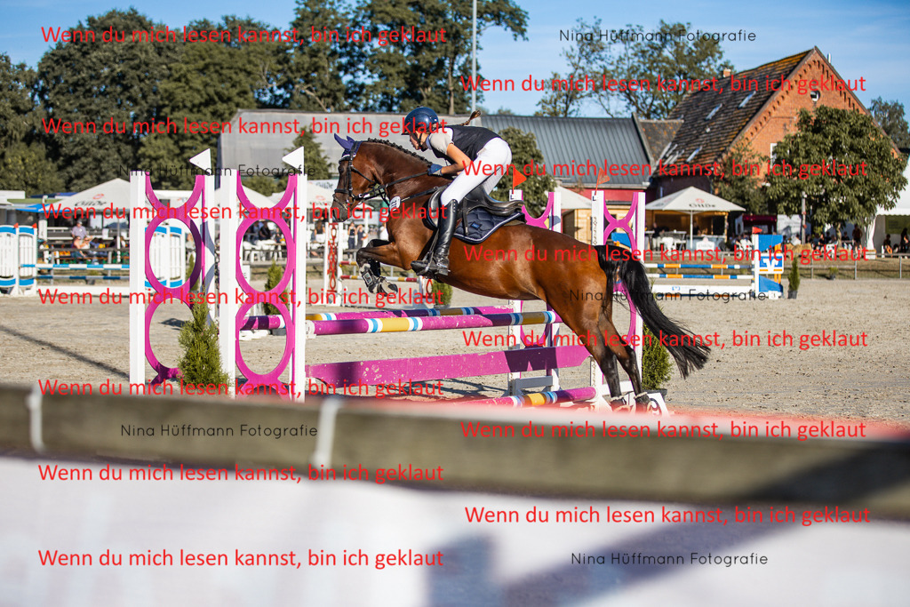 BK1A7889 | Turnierbilder Turnierfotos Nina Hüffmann Turnierfotografie Pferdefotografie Tierzeichnung Haustierzeichnung Pferdezeichnung Hundezeichnung Videograf  - Realisiert mit Pictrs.com