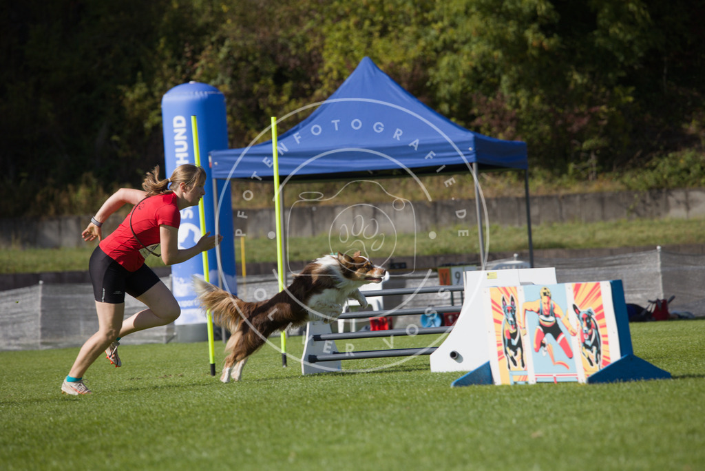 0L8A8766 | Hundefotografie, Tierfotograf, Pfotenfotografie, Fotoshooting Hund, Hunde Portrait, Hundesport, Hundeportraits, Heideshooting, Hunde, Sportfotograf, Hundefotograf, Turnierhundsport, THS,  - Realisiert mit Pictrs.com