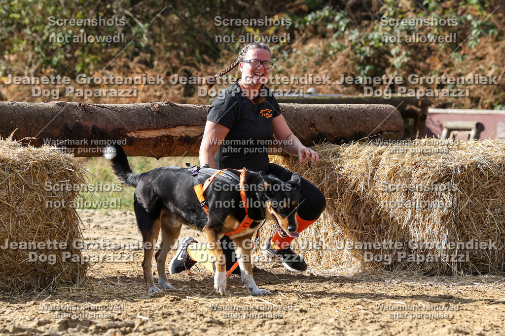 Dog Paparazzi - Strongdog 10-25-5280 | Dog Paparazzi Jeanette Grottendiek Fotografie & Videografie - Realisiert mit Pictrs.com
