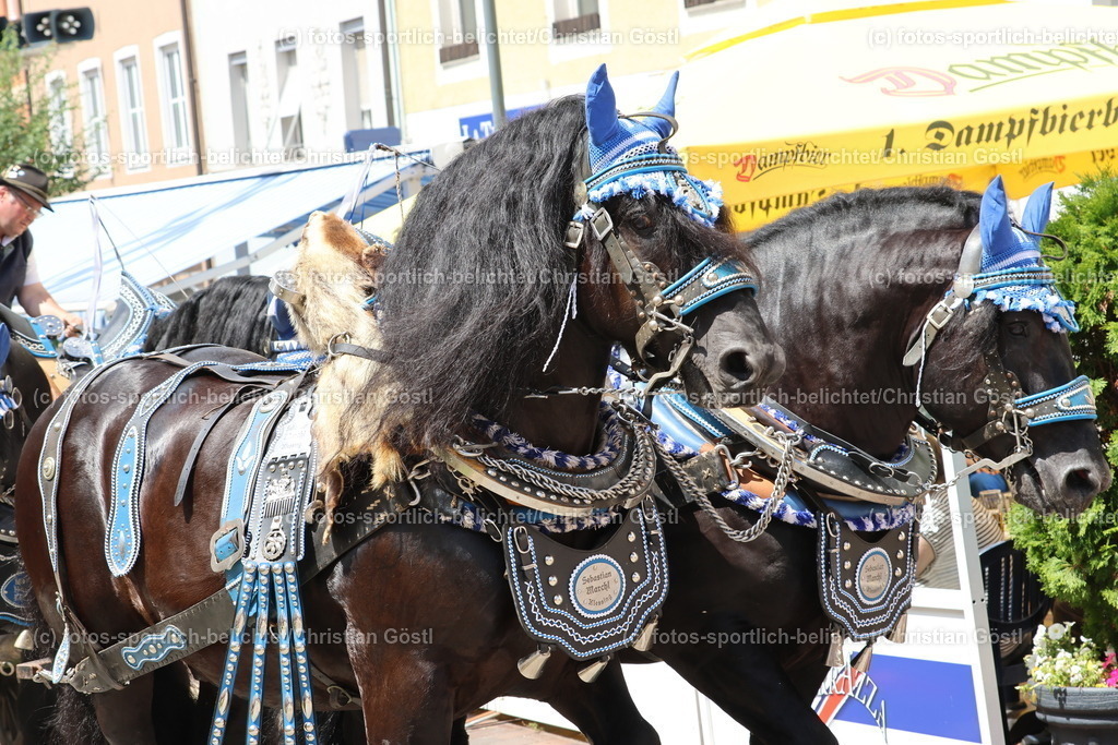 IMG_0342 | fotos-sportlich-belichtet - Realisiert mit Pictrs.com