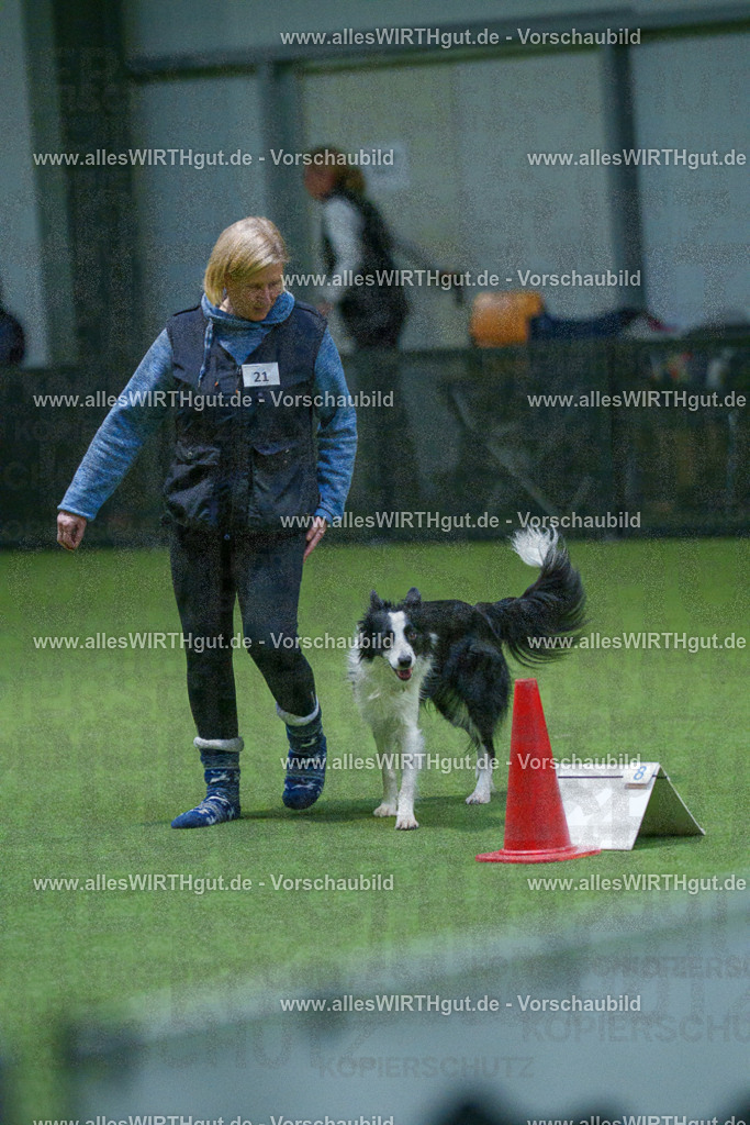 7R501010 | Professionelle Tierfotografie in Mönchengladbach von Daniel Wirth (allesWIRTHgut). Liebevolle & natürliche Bilder von Hunden & Katzen für unvergessliche Erinnerungen.