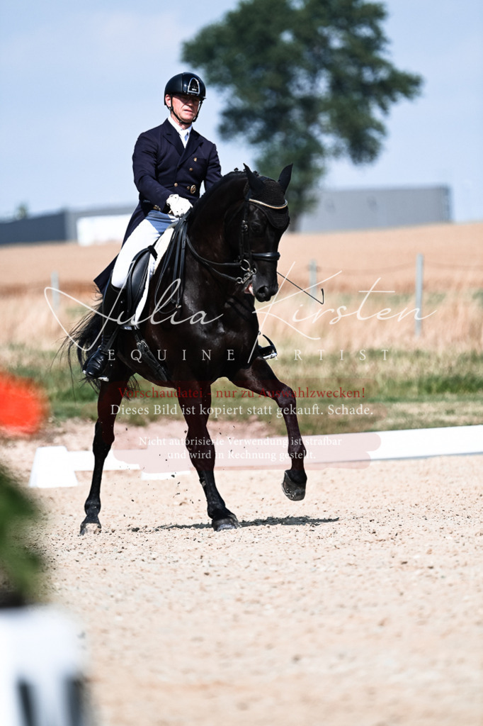 DSC_3007 | Pferde- und Turnierfotografie in Westsachsen. Pferdeportraits, Auftragszeichnungen und intuitive Kunst.