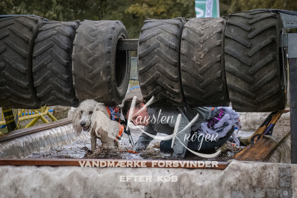 1642_ZZ93936 | kk-dogfotos