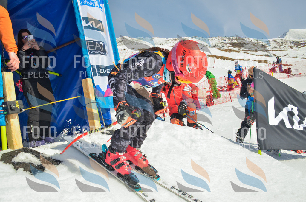 _ELE4848 | holidayphoto