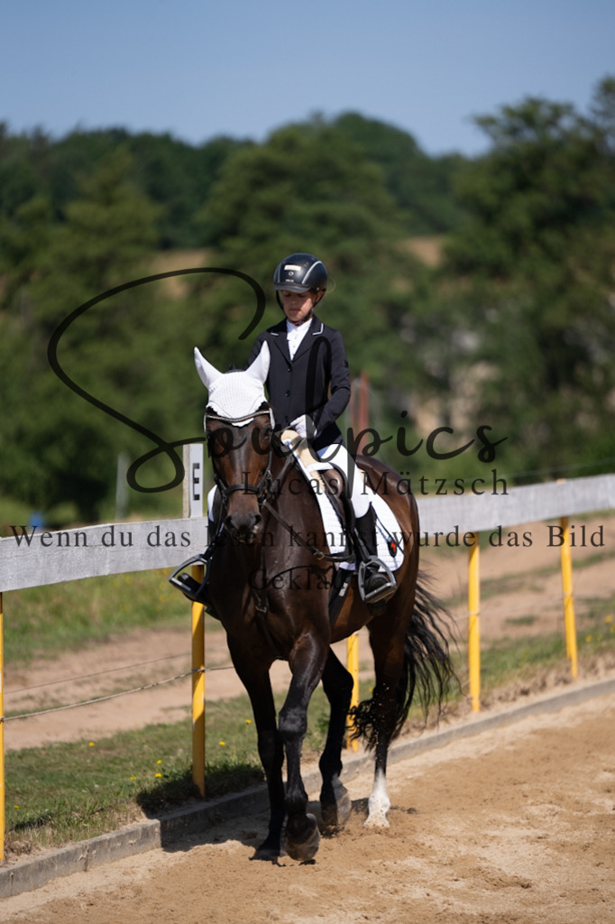 A7V07851 | Turnier/Reitfotograf