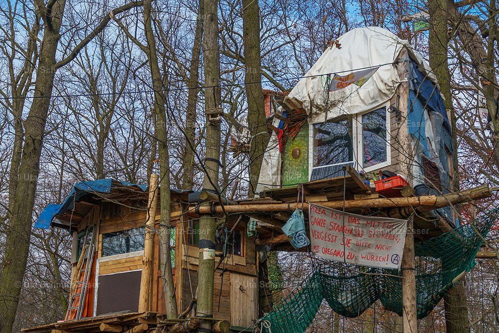 Hambacher-Forst_09 | CEUS Design - Realisiert mit Pictrs.com