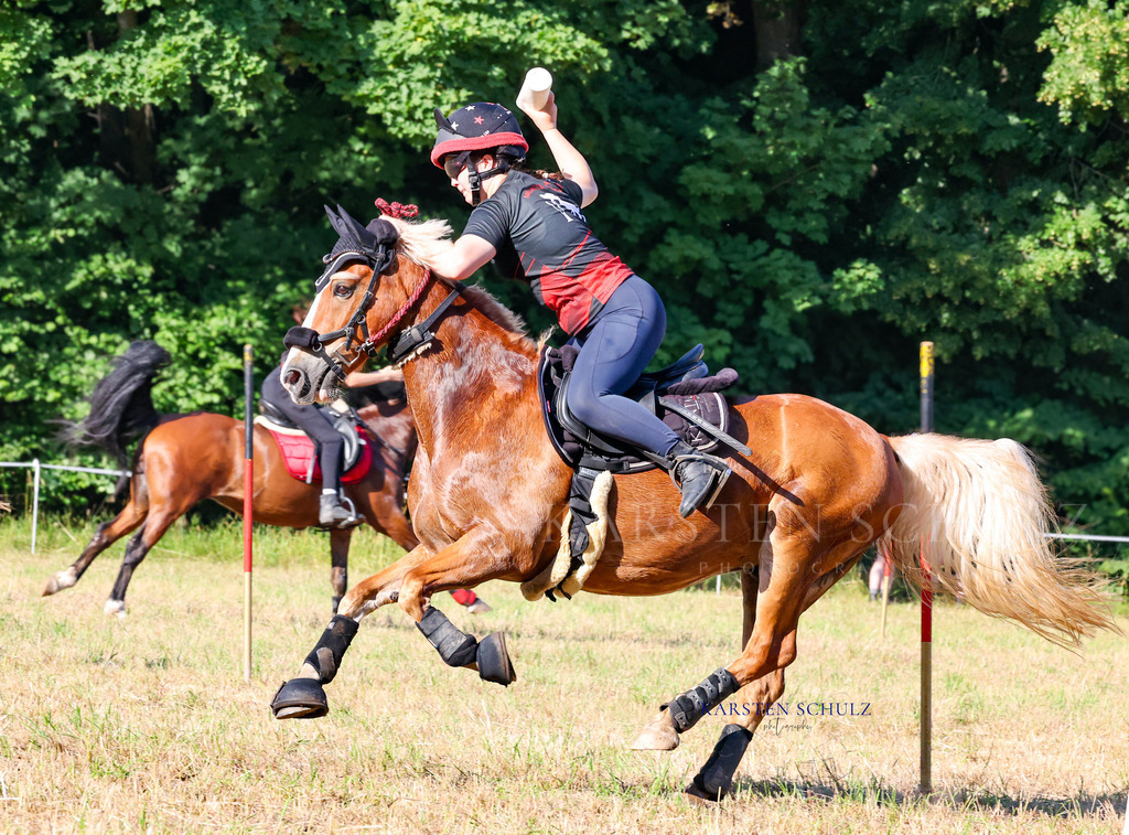 1B3A8589 | Reitsport Reiten