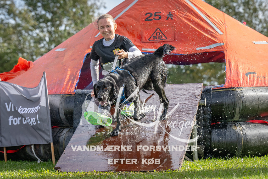 1210-92611 | kk-dogfotos