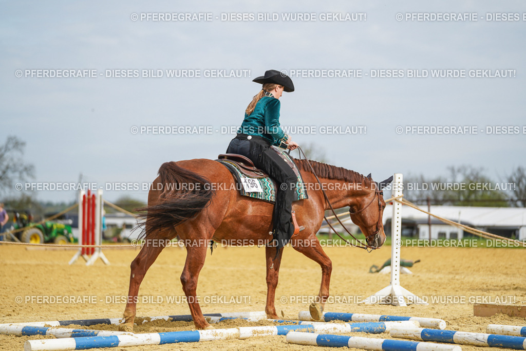 DSC03619 | Pferdegrafie