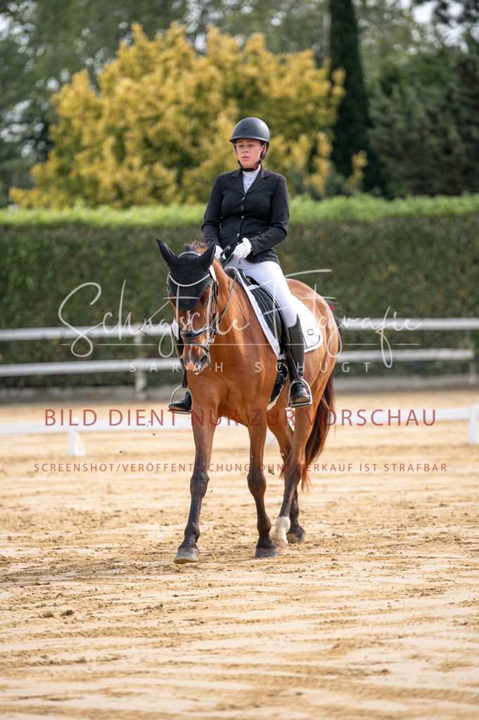 Schugtsche-Aluta25-40.DressurprfA_-121 | Schugtsche Fotografie - Realisiert mit Pictrs.com
