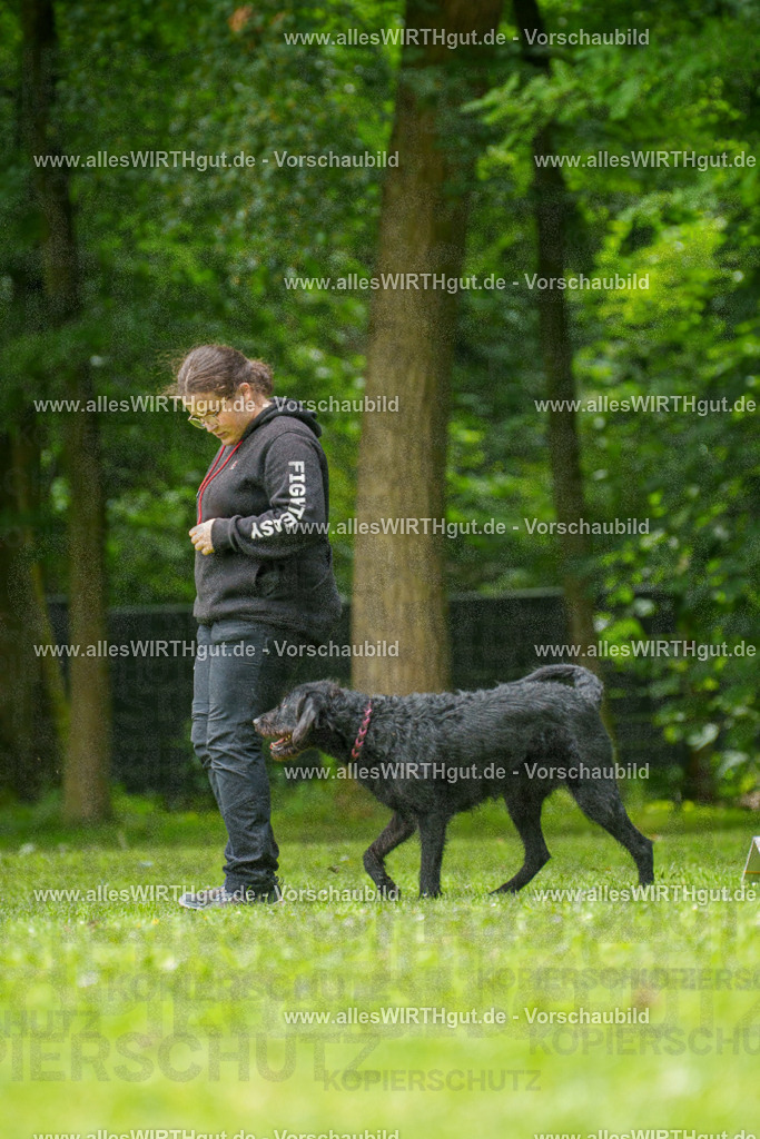 @allesWIRTHgut_Tierfotografie - www.allesWIRTHgut.de - 7R500685 | Professionelle Tierfotografie in Mönchengladbach von Daniel Wirth (allesWIRTHgut). Liebevolle & natürliche Bilder von Hunden & Katzen für unvergessliche Erinnerungen.