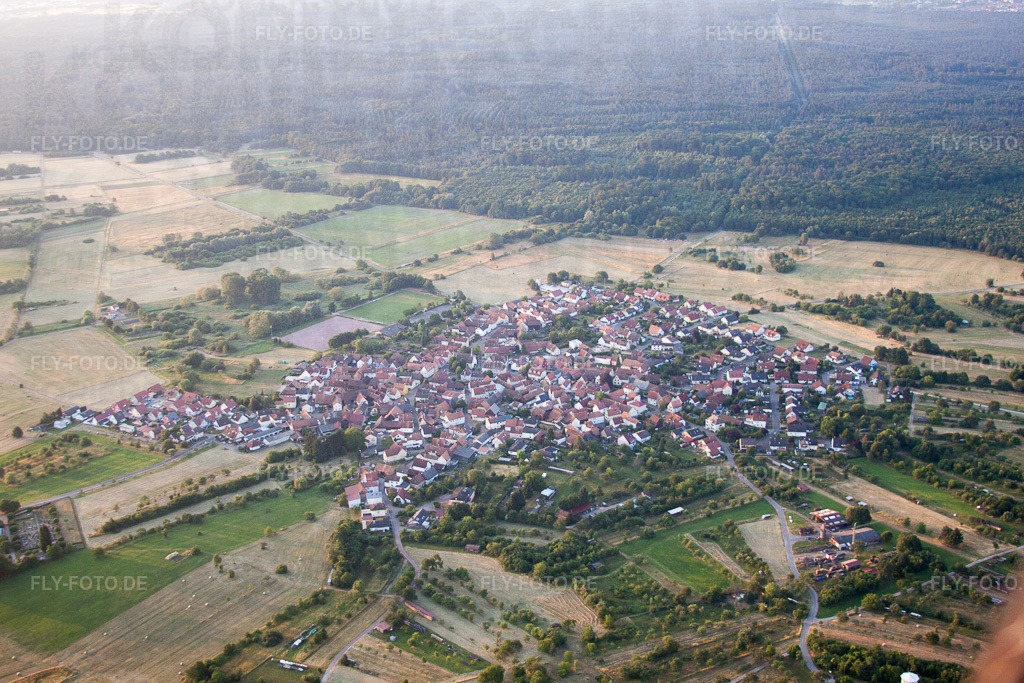 Dorf - Ansicht am Rhein | Luftbild: Dorf - Ansicht am Rhein im Ortsteil Büchelberg in Wörth im Bundesland Rheinland-Pfalz in Deutschland. Foto: IMG_67968.jpg vom 19.06.2014 durch Werner Riehm/FLY-FOTO.de - Realisiert mit Pictrs.com