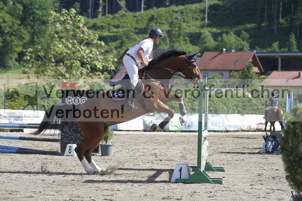 _MG_8384 | equestrian-live-com