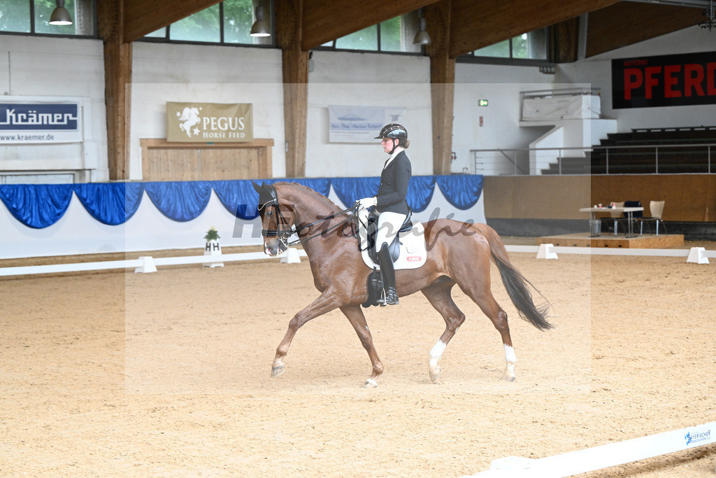 Kat-Nr. 45 Doppelherz_Jamieson_14241910 | hf-fotografie - Realisiert mit Pictrs.com