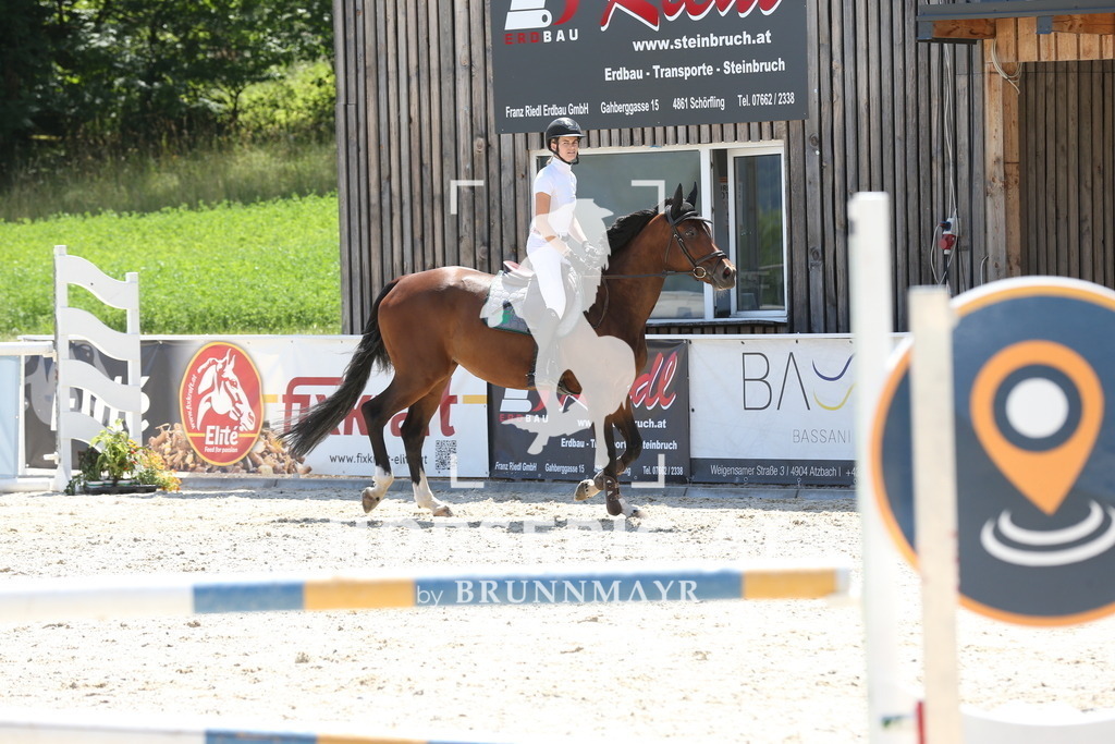PP017789 | Willkommen bei Brunnmayr - Design & Fotografie – Ihrem Spezialisten für Reitturniere und Pferdeveranstaltungen in Oberösterreich, Salzburg und Bayern! Seit über 17 Jahren sind wir leidenschaftlich dabei.