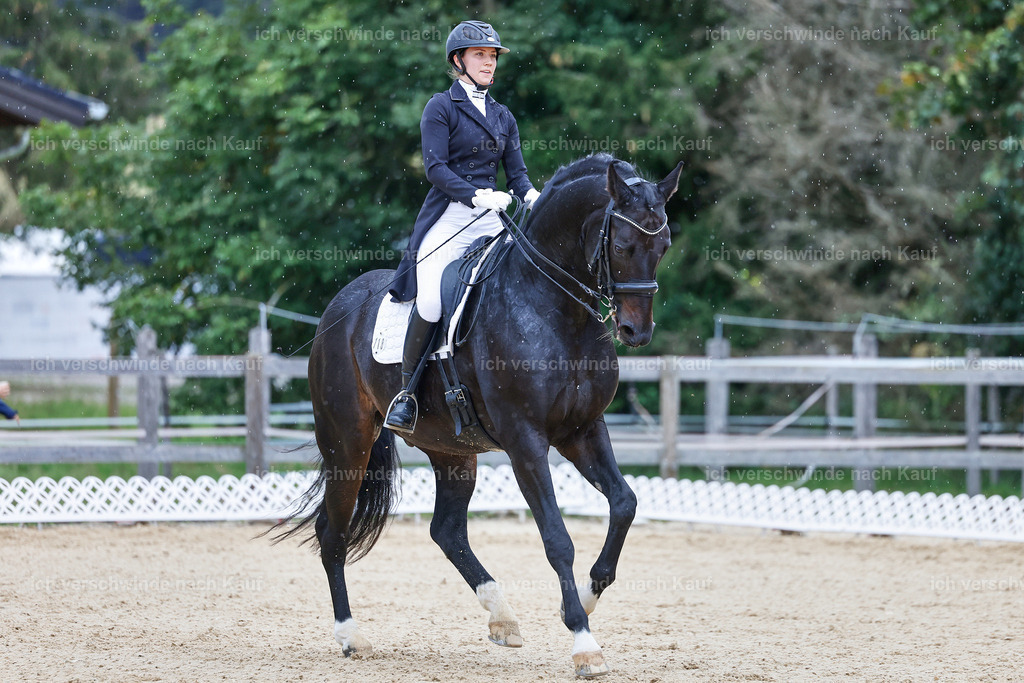 8_1-118-Klasse S_  -StoibPH-3907 | working equitationturnier fotograf videograf stoibphotography marixx film working equitation deutschland reitsport turnierfotografie eventfotografie equestrian events