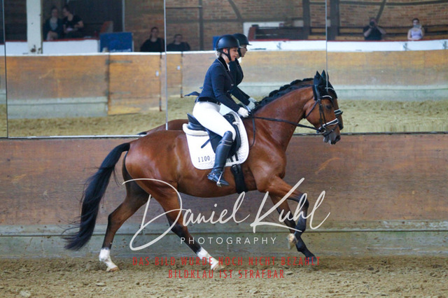 DKP43550 | Turniersportfotografie; Pferdefotografie; Dressurfotografie