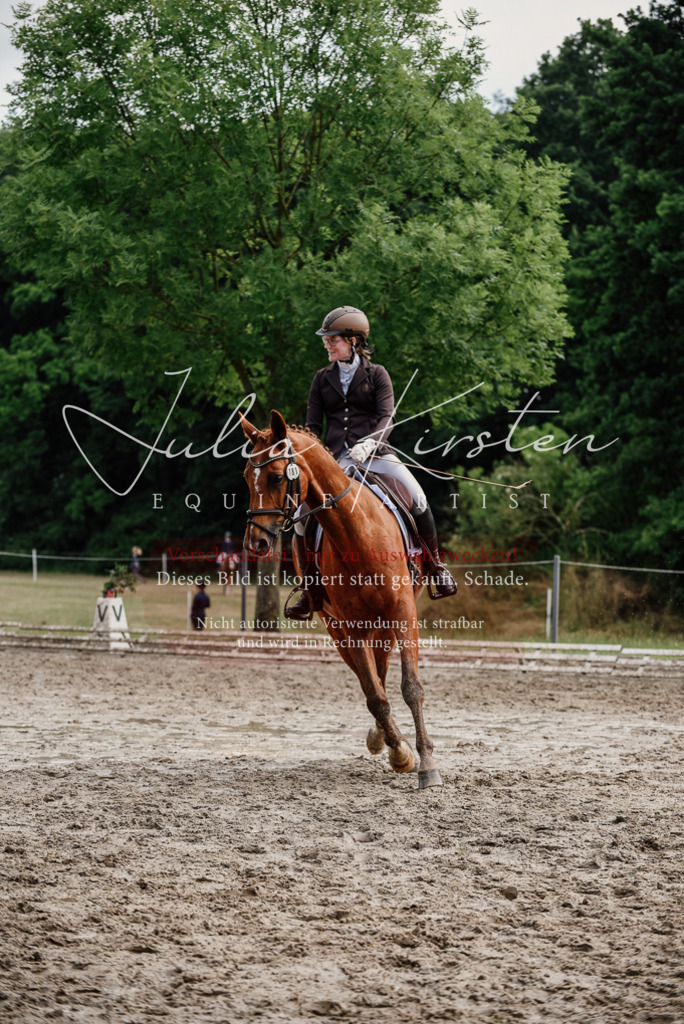 DSC_9673 | Pferde- und Turnierfotografie in Westsachsen. Pferdeportraits, Auftragszeichnungen und intuitive Kunst.