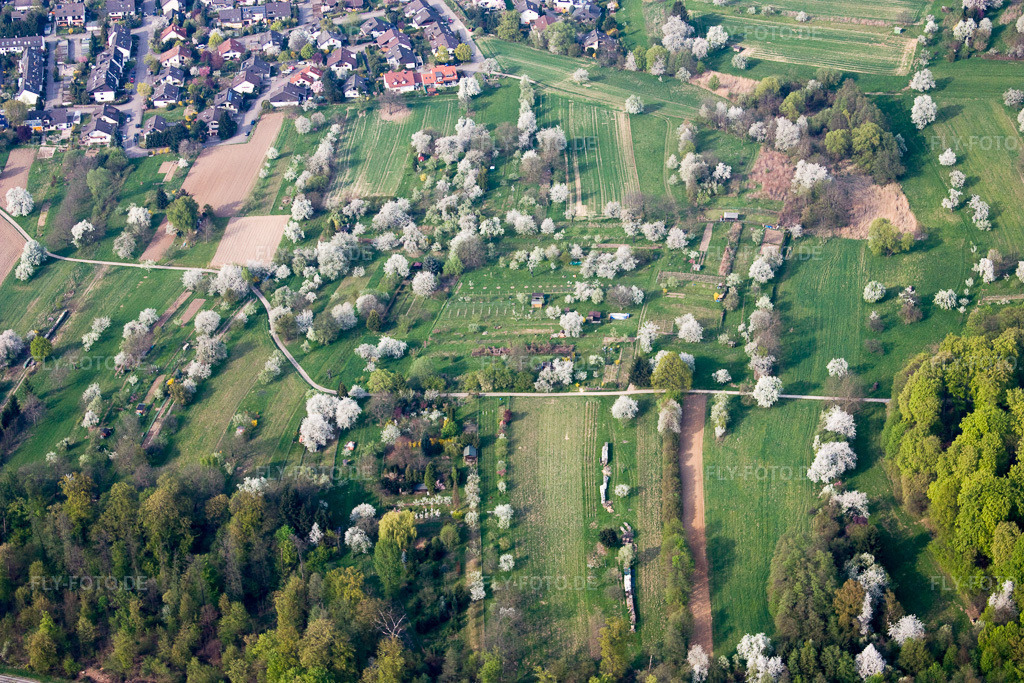 Luftbild: Parzellen einer Kleingartenanlage im Ortsteil Oberweier in Gaggenau im Bundesland Baden-Württemberg in Deutschland. Foto: IMG_17756.jpg vom 12.04.2009 durch Werner Riehm/FLY-FOTO.de