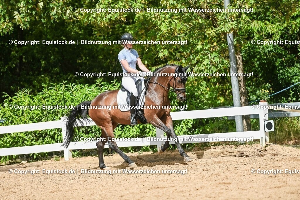 20230715_02_Dressurreiterprüfung Kl.L_0411 | equistock