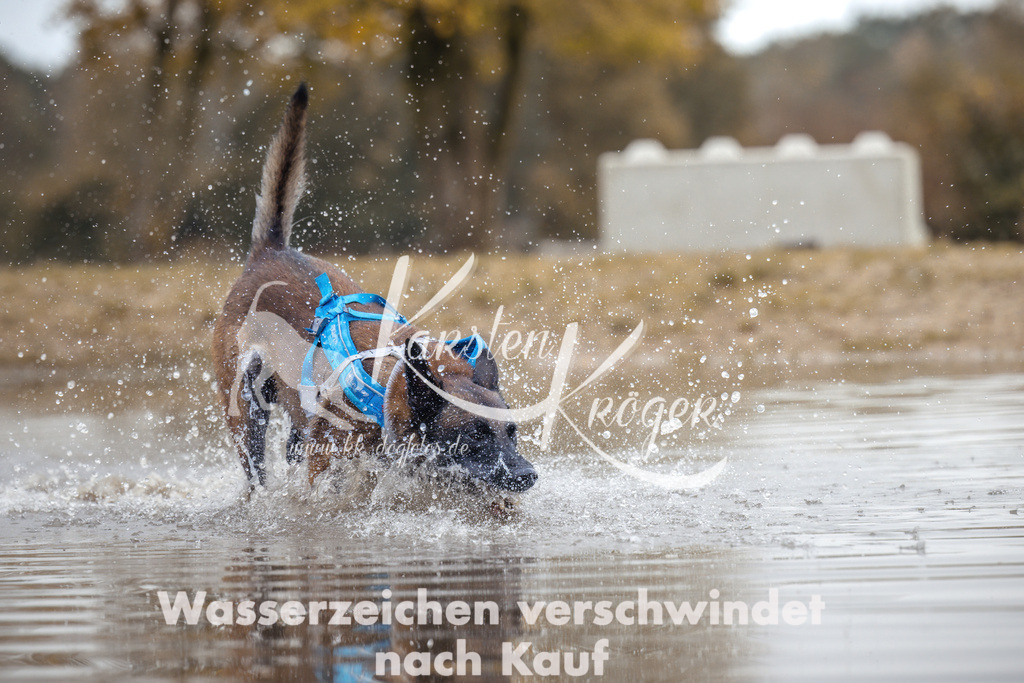 1358_ZZ95027 | kk-dogfotos