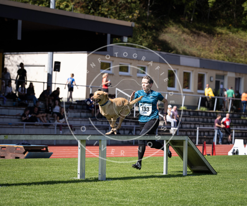 Pfotenfotografie_DV3A8866 | Hundefotografie, Tierfotograf, Pfotenfotografie, Fotoshooting Hund, Hunde Portrait, Hundesport, Hundeportraits, Heideshooting, Hunde, Sportfotograf, Hundefotograf, Turnierhundsport, THS,  - Realisiert mit Pictrs.com