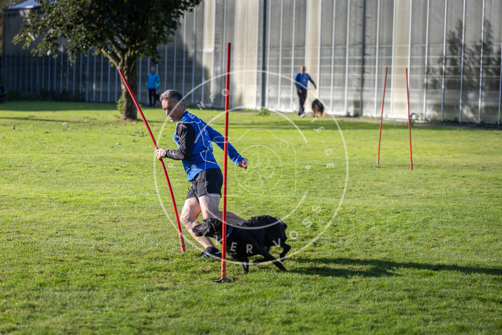 Pfotenfotografie.de_DV3A3239 | Hundefotografie, Tierfotograf, Pfotenfotografie, Fotoshooting Hund, Hunde Portrait, Hundesport, Hundeportraits, Heideshooting, Hunde, Sportfotograf, Hundefotograf, Turnierhundsport, THS, canicross - Realisiert mit Pictrs.com