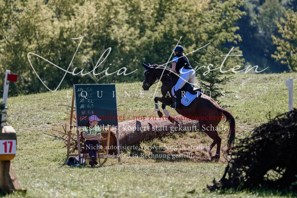 DSC_2644 | Pferde- und Turnierfotografie in Westsachsen. Pferdeportraits, Auftragszeichnungen und intuitive Kunst.