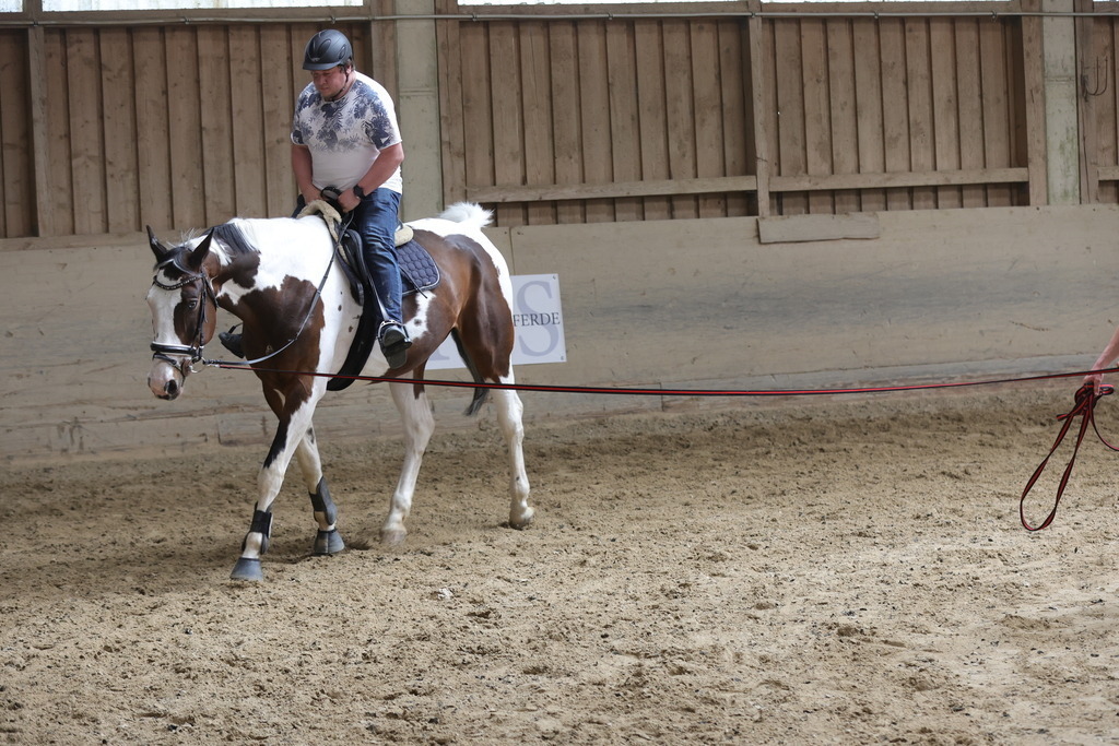 0P6A9139 | Willkommen bei Brunnmayr - Design & Fotografie – Ihrem Spezialisten für Reitturniere und Pferdeveranstaltungen in Oberösterreich, Salzburg und Bayern! Seit über 17 Jahren sind wir leidenschaftlich dabei.