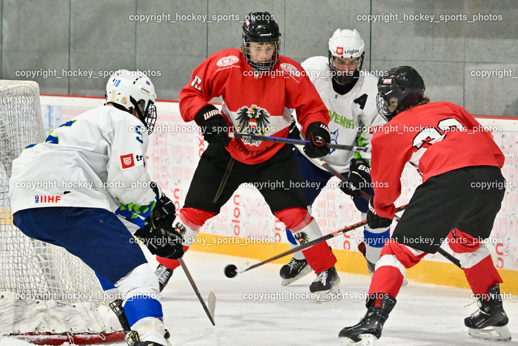 Österreich U17 vs. Slowenien U18  | Österreich U17 vs. Slowenien U18 , Österreich U17 vs. Slowenien U18  am 14.12.2024 in Ferlach (Eishalle Ferlach ), Austria, (Photo by Bernd Stefan)