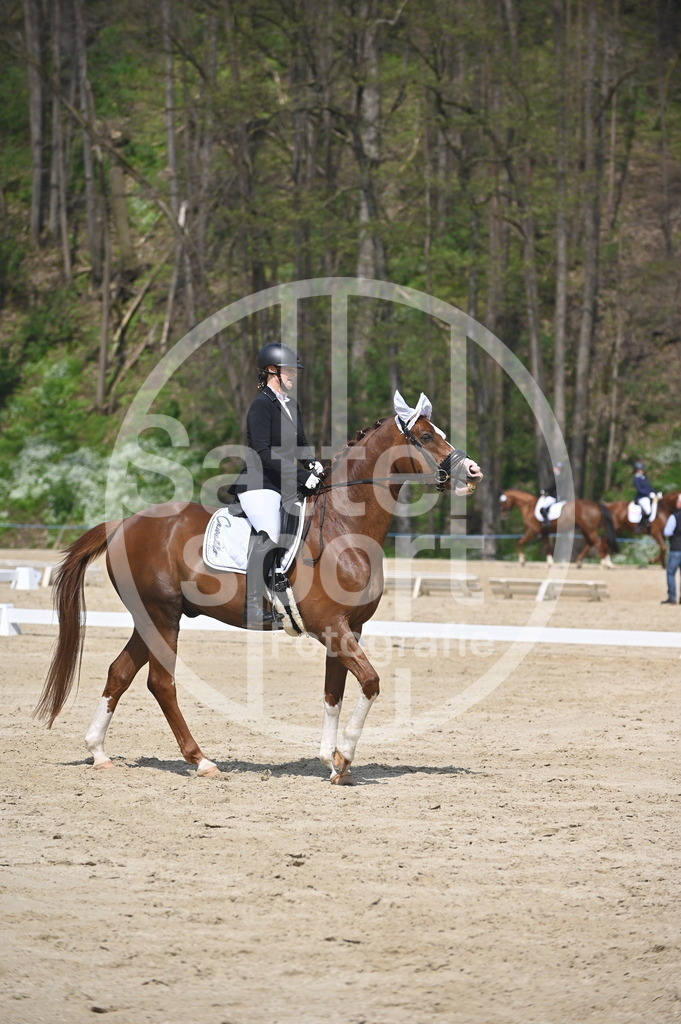 DSC_1577 | sattelsport - Realisiert mit Pictrs.com