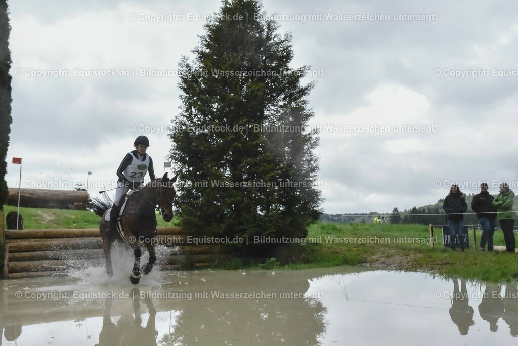 20230513_CCI2_Section2_Gelände_0572 | equistock
