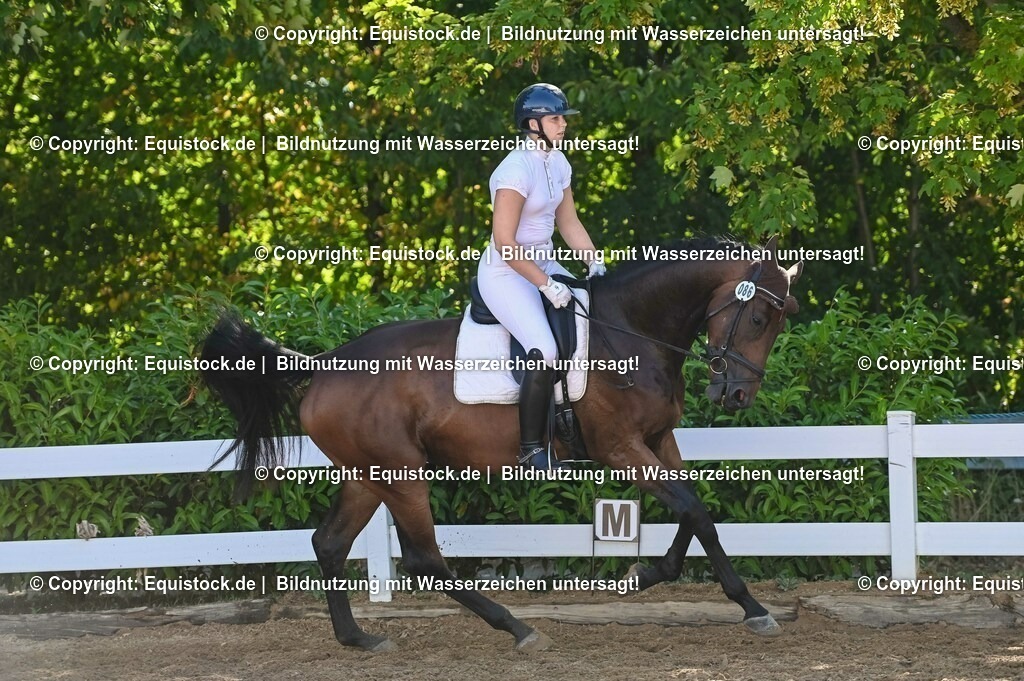 20230715_06_Dressurpferdeprfg. Kl.A_0280 | equistock