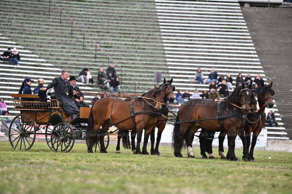 PI26_Show_Sara_Landvogt_226_1340.JPG | working equitationturnier fotograf videograf stoibphotography marixx film working equitation deutschland reitsport turnierfotografie eventfotografie equestrian events