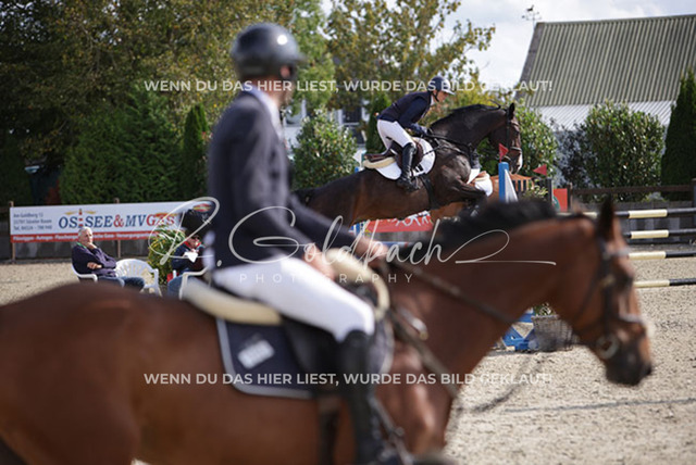 1J2A8355Laura Aromaa_ Medusa T_ Kn714_ Havekost | Foto- und Videografie für alles rund ums Pferd. Hochwertige Bilder und Videos vom Spring- und Dressurreiten, Voltigieren & mehr. Jetzt aktuelle Veranstaltungen und Preise im Shop ansehen. - Realisiert mit Pictrs.com