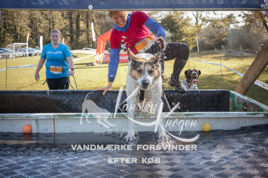 1207_ZZ94691 | kk-dogfotos