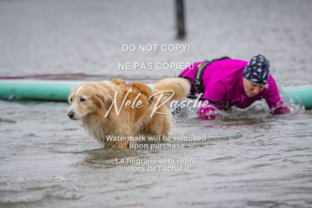 nelerasche_Hulsbeek_Sa1430-1515_388 | nelerasche