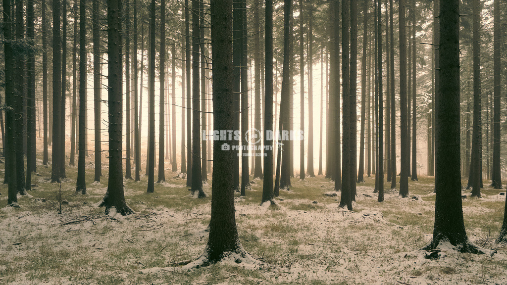 Labyrinth to the light | fresh snow, fog, and sun. The ingredients to magic! - Realisiert mit Pictrs.com