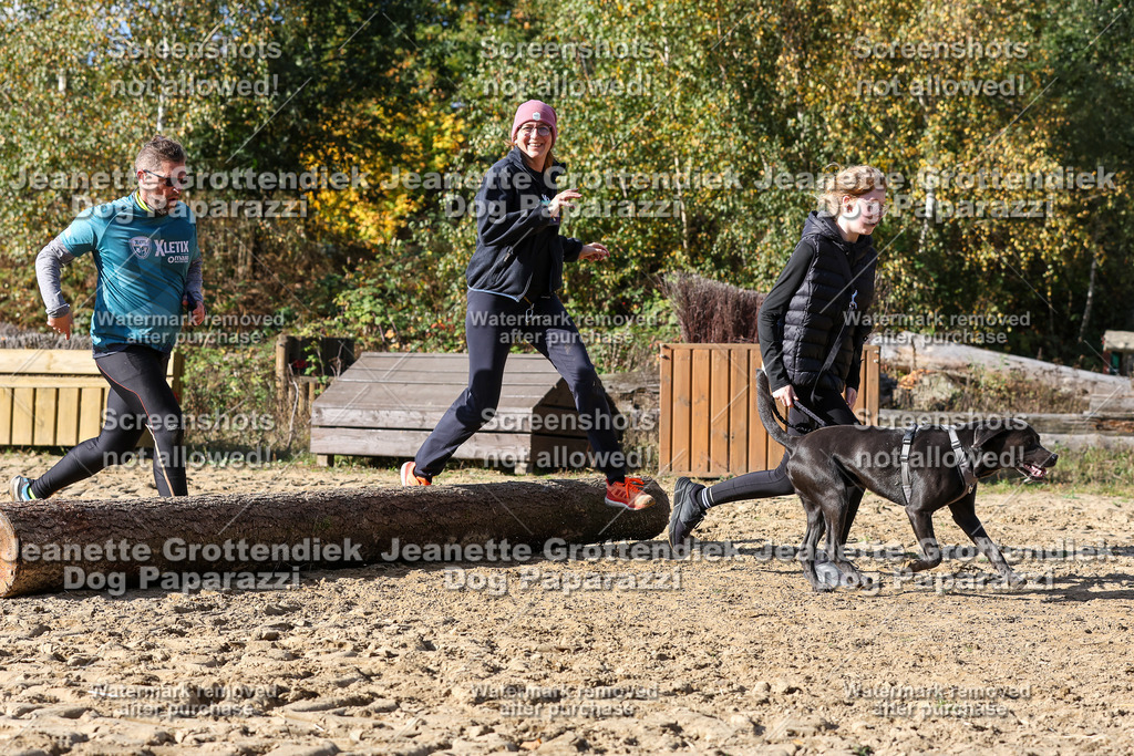 Dog Paparazzi - Strongdog 10-25-4867 | Dog Paparazzi Jeanette Grottendiek Fotografie & Videografie - Realisiert mit Pictrs.com