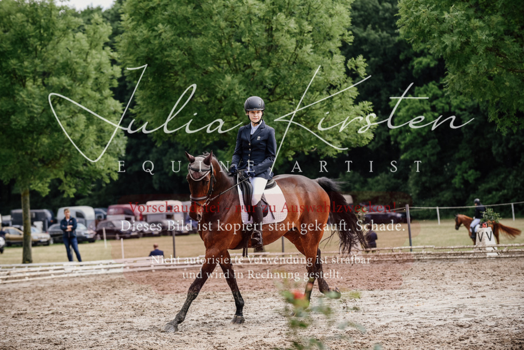 DSC_9609 | Pferde- und Turnierfotografie in Westsachsen. Pferdeportraits, Auftragszeichnungen und intuitive Kunst.