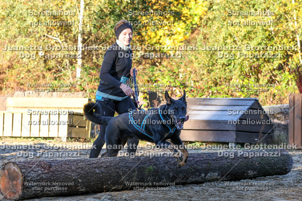 Dog Paparazzi - Strongdog 10-25-728 | Dog Paparazzi Jeanette Grottendiek Fotografie & Videografie