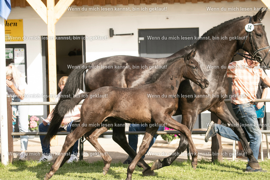 598A7229 | photographylinaismer - Realisiert mit Pictrs.com