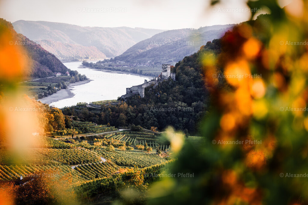 foto_c_pfeffel-partner-0084-R52_0312-Bearbeitet | alexander-pfeffel - Realisiert mit Pictrs.com